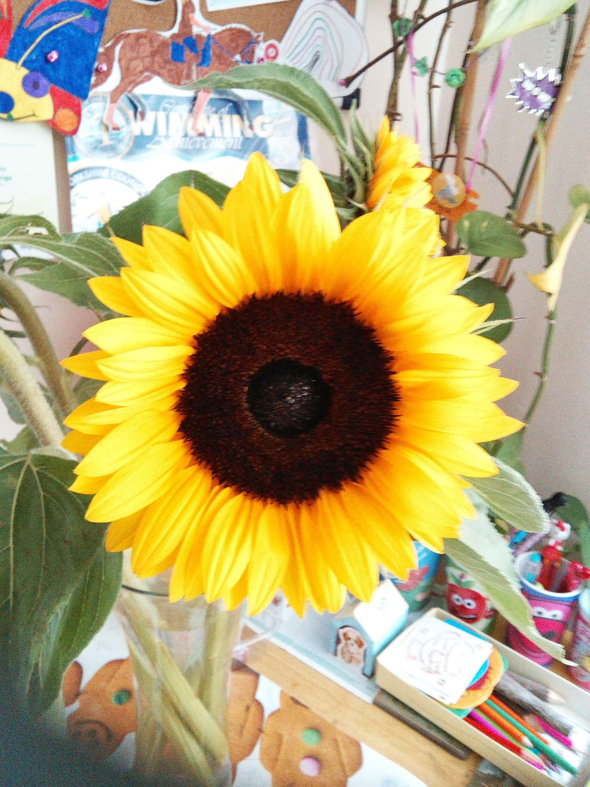 wp-1399556664569 image