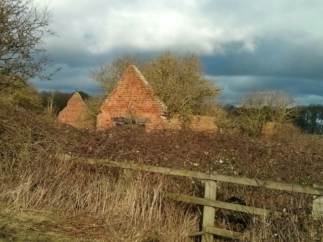 wp-1403002342694 image