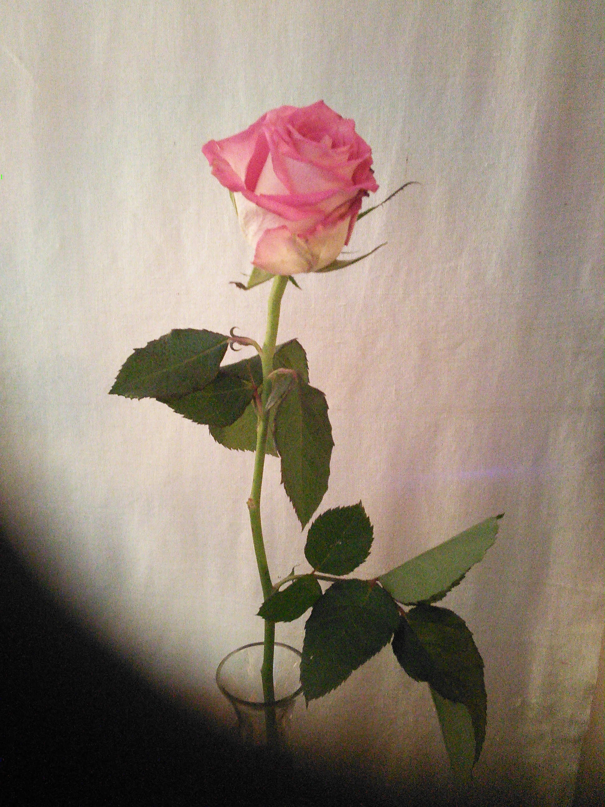 wp-1404407760935.jpg image