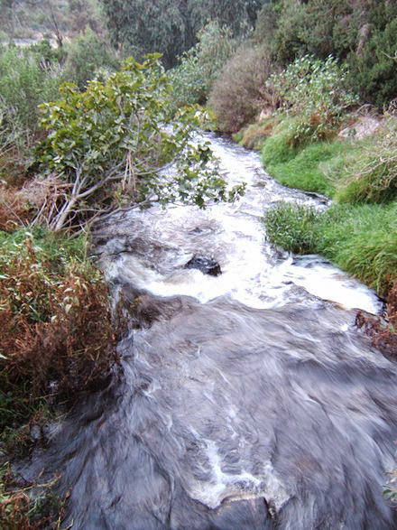 wp-1406111736396 image